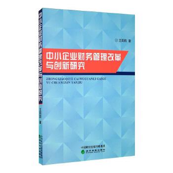 中小企业财务管理改革与创新研究 经济科学出版社