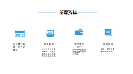 国智财税-财务咨询审计报告-财务外包专业公司-专注一站式财税业务专家服务-快24小时出报告