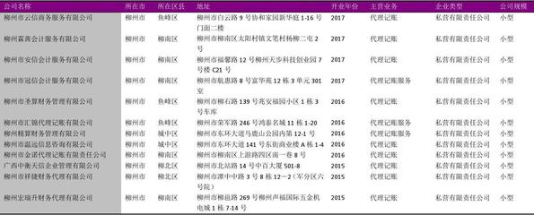 柳州市财务咨询行业企业名录2018版166家